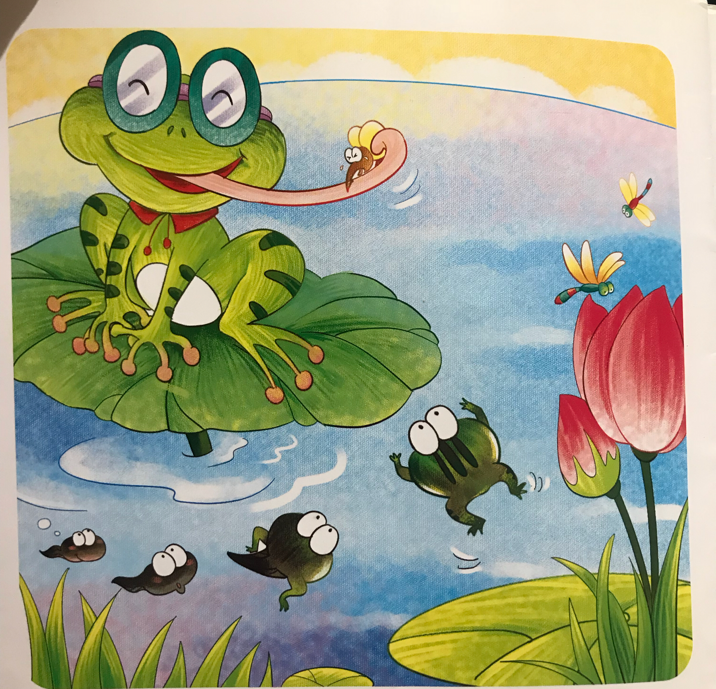 小蝌蚪找妈妈 图片5