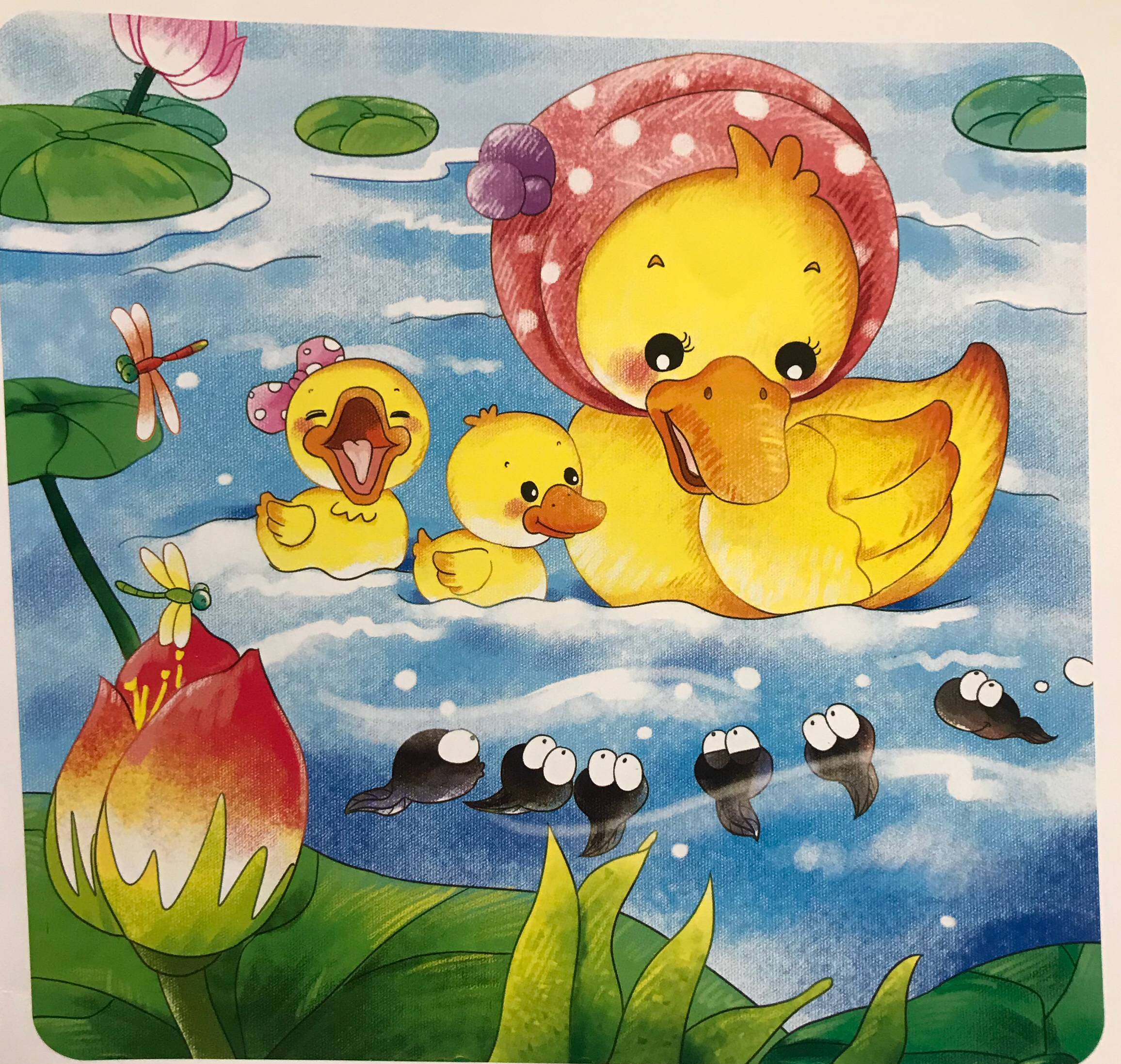 小蝌蚪找青蛙 图片1